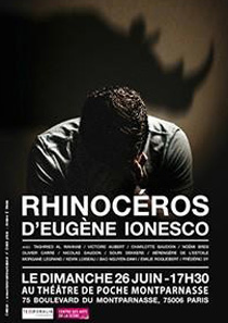 Rhinocéros