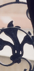 icologo